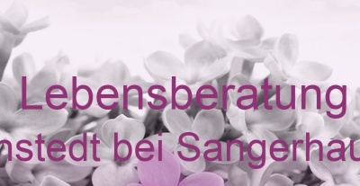 Lebensberatung Nienstedt bei Sangerhausen | Top-Experten für Kartenlegen, Wahrsagen, Hellsehen, Zukunftsdeutung. Lebensberatung Nienstedt bei Sangerhausen | Top-Experten für Kartenlegen, Wahrsagen, Hellsehen, Zukunftsdeutung.
